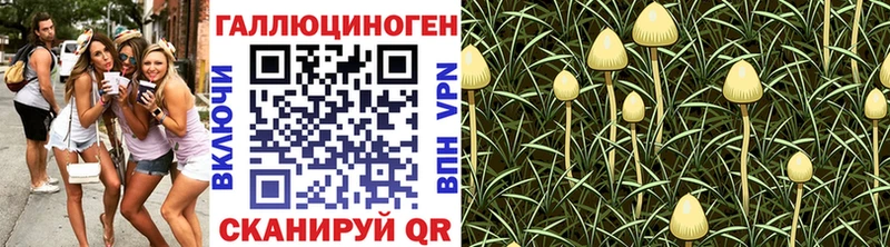 Галлюциногенные грибы ЛСД  сколько стоит  блэк спрут маркетплейс  Каменск-Уральский 