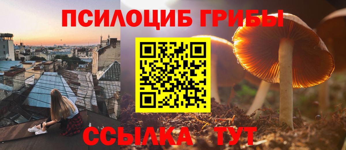 Каменск-Уральский  Псилоцибиновые грибы мицелий  Галлюциногенные грибы прущие грибы  Вход с VPN 